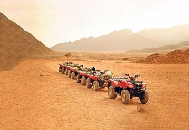 Quad Bike Safari 3 hours 